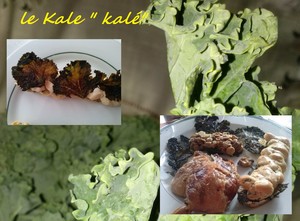 recette - Eclair au kale