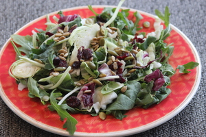 Salade chou-chou aux canneberges