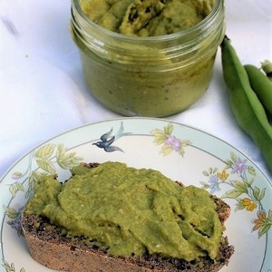 Tartinade de fèves façon houmous