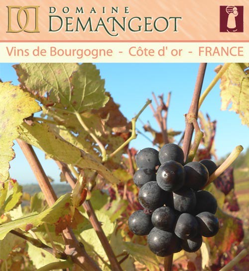 Le domaine Demangeot