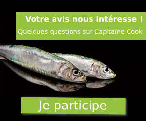 Votre avis sur Capitaine Cook