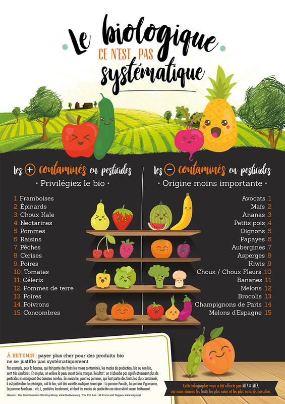 Infographie