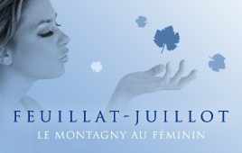 Le domaine Feuillat-Juillot