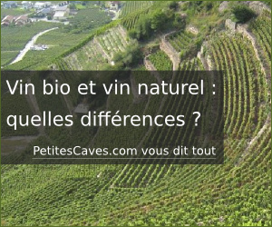 Quelles différences entre vin bio et vin naturel ? Réponse avec Petites Caves