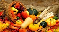 Quiz - Les courges d'hiver