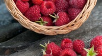 Les bienfaits de la framboise