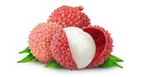 Les bienfaits du litchi