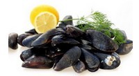 Cuisiner les moules