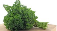 Quiz - Les herbes aromatiques, du potager jusqu'en cuisine