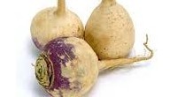 Rutabaga