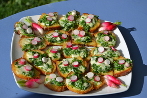 recette - Tartines aux fanes de radis