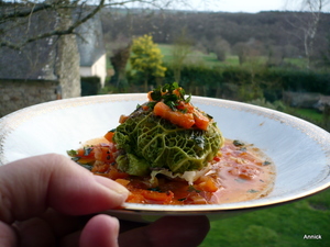 Choux farcis (sauce à la bière)