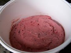 Sorbet fruits du verger