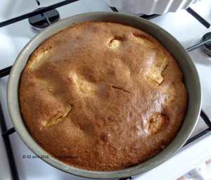 Gâteau pommes, noisettes et pralin