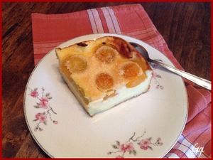 Flan aux Abricots