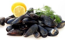 recette - Volaille aux moules de bouchot