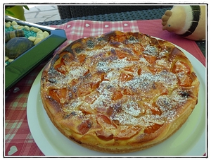 recette - Far moelleux aux abricots version avec Thermomix