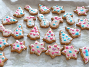 Biscuits aux épices