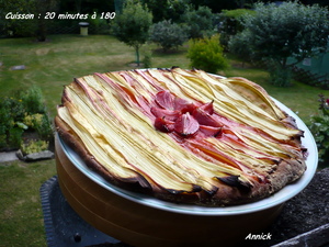 Tarte rustique à la rhubarbe et aux fraises