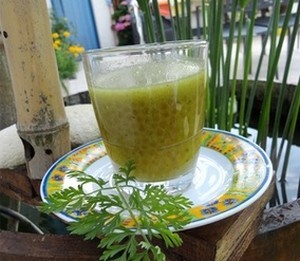 Potage aux fanes de carottes aux perles du Japon