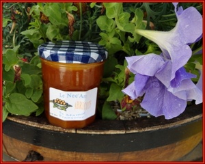 Confiture d'abricots