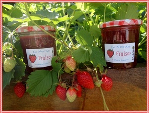 recette - Confiture de fraises gariguettes