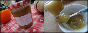 recette - Confiture de rhubarbe et pommes aux raisins secs au Thermomix