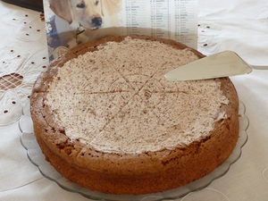 Gâteau mousseux au chocolat