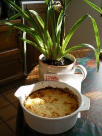 recette - Gratin de potiron doré à l'emmental de savoie