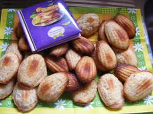 recette - Madeleines au miel