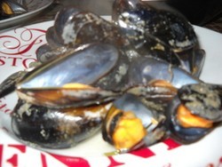 recette - Moules marinières au céleri