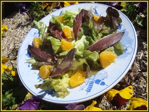 Salade de magret de canard séché à l'orange 