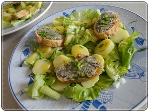 Salade de pommes de terre à l'escargotine 