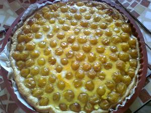 Tarte aux mirabelles 