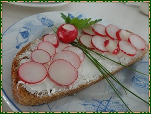 Tartines de printemps