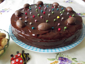 recette - Un gâteau choco-cacao