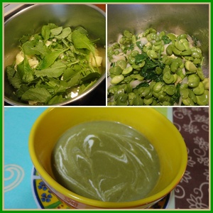 recette - Velouté vert (fèves et fanes de radis)