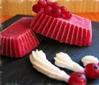 recette - Sorbet aux groseilles 