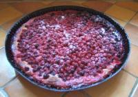 recette - Tarte aux groseilles du jardin