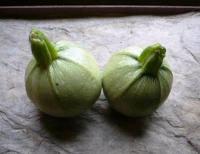 recette - Tian de courgettes