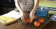 Tomates à la crème de thon