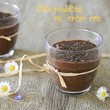 Chia-pudding-cacao-cru