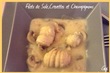 Filets de Sole Crevettes Champignons Sauce Crème
