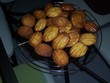 Madeleines "du côté de chez Proust"