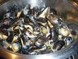 Moules au vin blanc