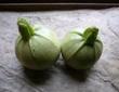 Tian de courgettes