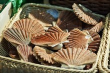 Coquilles-saint-jacques