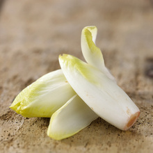 Redécouvrez l'endive !