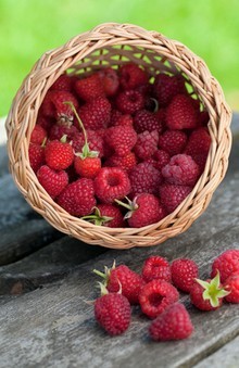 Framboise