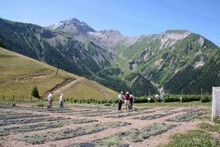 Les-jardins-d-en-haut